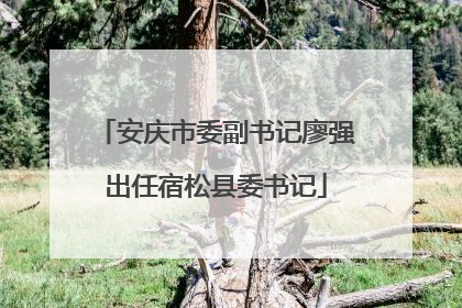 安庆市委副书记廖强出任宿松县委书记