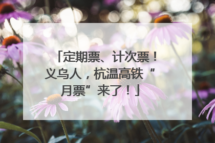 定期票、计次票！义乌人，杭温高铁“月票”来了！