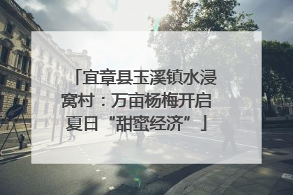 宜章县玉溪镇水浸窝村：万亩杨梅开启夏日“甜蜜经济”