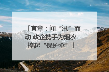 宜章：闻“汛”而动 政企携手为烟农撑起“保护伞”