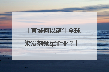 宜城何以诞生全球染发剂领军企业？