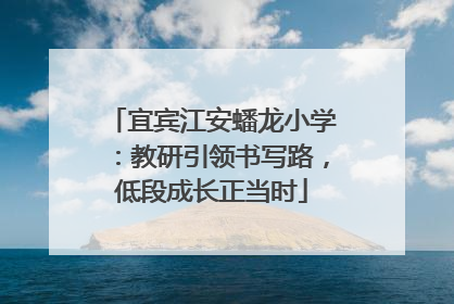 宜宾江安蟠龙小学：教研引领书写路，低段成长正当时