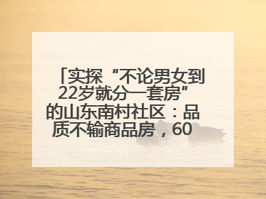 实探“不论男女到22岁就分一套房”的山东南村社区：品质不输商品房，60岁以上老人每年发七千元补贴