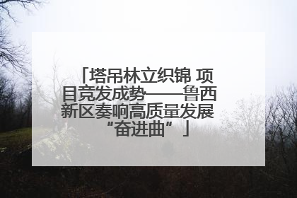 塔吊林立织锦 项目竞发成势——鲁西新区奏响高质量发展“奋进曲”