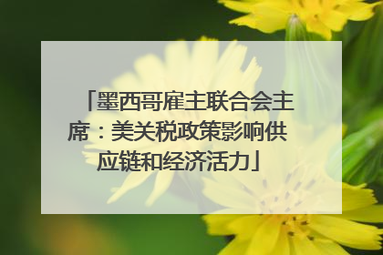 墨西哥雇主联合会主席：美关税政策影响供应链和经济活力