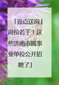 壹点送岗│岗位若干！这些济南市属事业单位公开招聘了