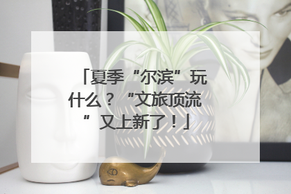 夏季“尔滨”玩什么？“文旅顶流”又上新了！