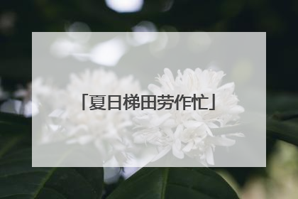 夏日梯田劳作忙