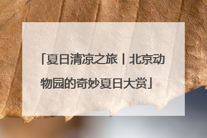 夏日清凉之旅丨北京动物园的奇妙夏日大赏