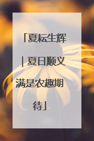 夏耘生辉｜夏日顺义满是农趣期待
