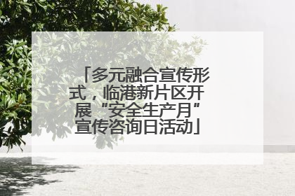 多元融合宣传形式，临港新片区开展“安全生产月”宣传咨询日活动