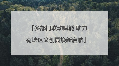 多部门联动赋能 助力荷塘区文创园焕新启航