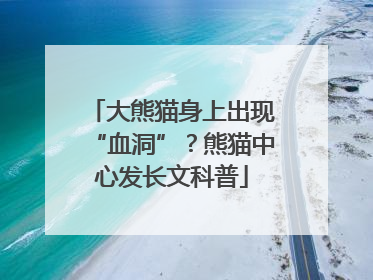 大熊猫身上出现“血洞”？熊猫中心发长文科普