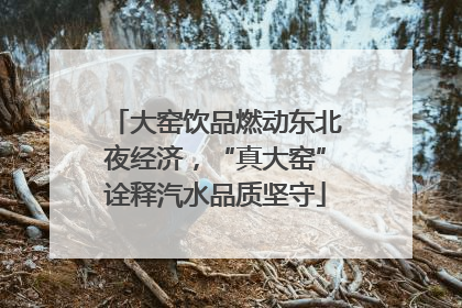 大窑饮品燃动东北夜经济，“真大窑”诠释汽水品质坚守