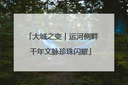 大城之变｜运河侧畔 千年文脉珍珠闪耀