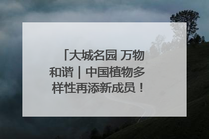 大城名园 万物和谐｜中国植物多样性再添新成员！它只在西藏墨脱