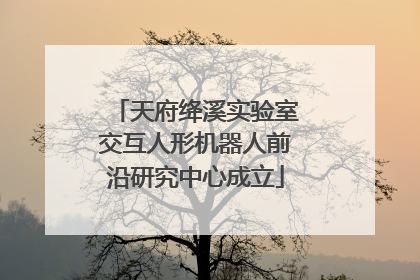 天府绛溪实验室交互人形机器人前沿研究中心成立