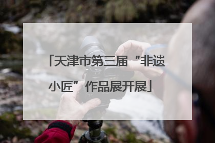 天津市第三届“非遗小匠”作品展开展