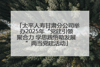 太平人寿甘肃分公司举办2025年“党建引领聚合力 学思践悟助发展”两当党建活动