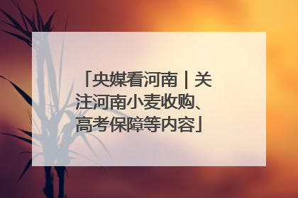 央媒看河南｜关注河南小麦收购、高考保障等内容