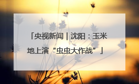 央视新闻｜沈阳：玉米地上演“虫虫大作战”
