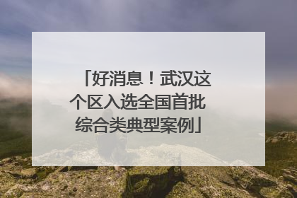 好消息！武汉这个区入选全国首批综合类典型案例
