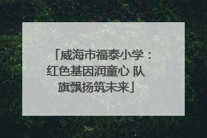 威海市福泰小学：红色基因润童心 队旗飘扬筑未来