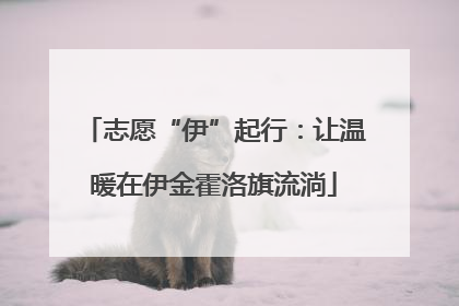 志愿“伊”起行：让温暖在伊金霍洛旗流淌
