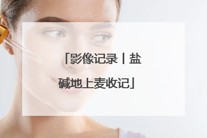 影像记录丨盐碱地上麦收记