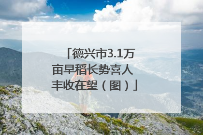 德兴市3.1万亩早稻长势喜人 丰收在望（图）
