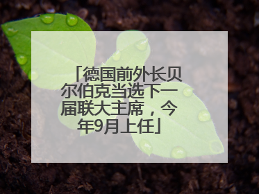 德国前外长贝尔伯克当选下一届联大主席，今年9月上任