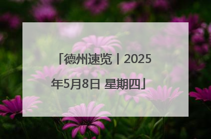 德州速览丨2025年5月8日 星期四