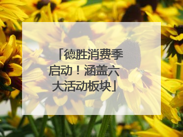 德胜消费季启动！涵盖六大活动板块