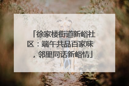 徐家楼街道新峪社区：端午共品百家味，邻里同话新峪情
