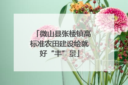 微山县张楼镇高标准农田建设绘就好“丰”景