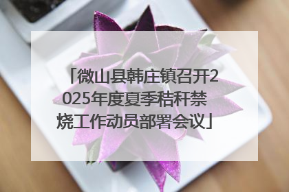微山县韩庄镇召开2025年度夏季秸秆禁烧工作动员部署会议