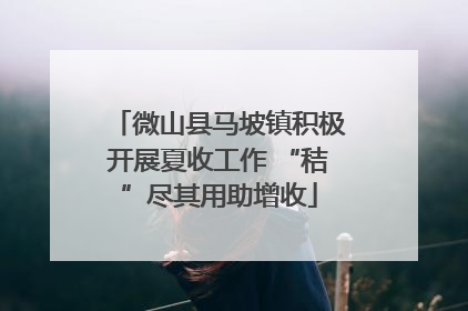 微山县马坡镇积极开展夏收工作 “秸”尽其用助增收