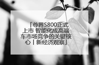 尊界S800正式上市 智能化成高端车市场竞争的关键核心丨新经济观察