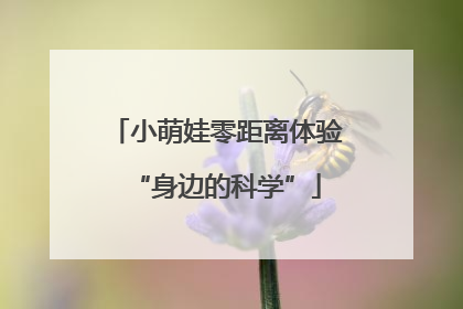 小萌娃零距离体验“身边的科学”