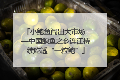 小鲍鱼闯出大市场——中国鲍鱼之乡连江持续吃透“一粒鲍”