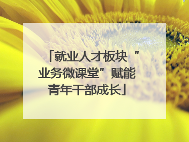 就业人才板块“业务微课堂”赋能青年干部成长