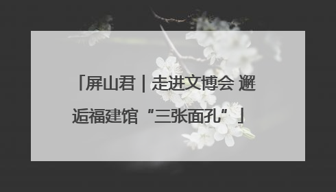 屏山君｜走进文博会 邂逅福建馆“三张面孔”