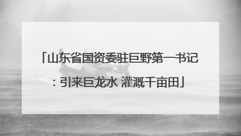 山东省国资委驻巨野第一书记：引来巨龙水 灌溉千亩田