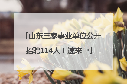 山东三家事业单位公开招聘114人！速来→
