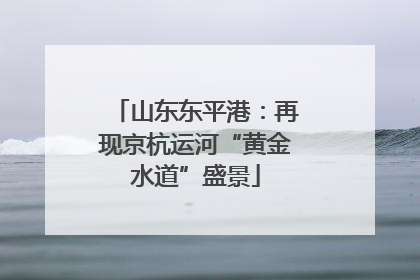 山东东平港：再现京杭运河“黄金水道”盛景