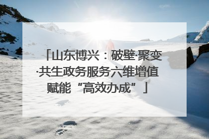 山东博兴：破壁·聚变·共生政务服务六维增值赋能“高效办成”