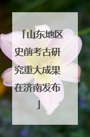 山东地区史前考古研究重大成果在济南发布