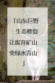 山东巨野：生态修复让废弃矿山变绿水青山