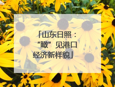 山东日照：“瞰”见港口经济新样貌