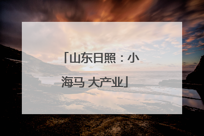 山东日照：小海马 大产业